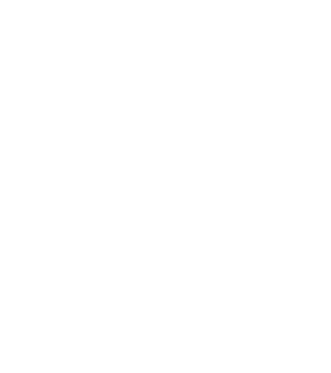 logo piotrowskifinanse